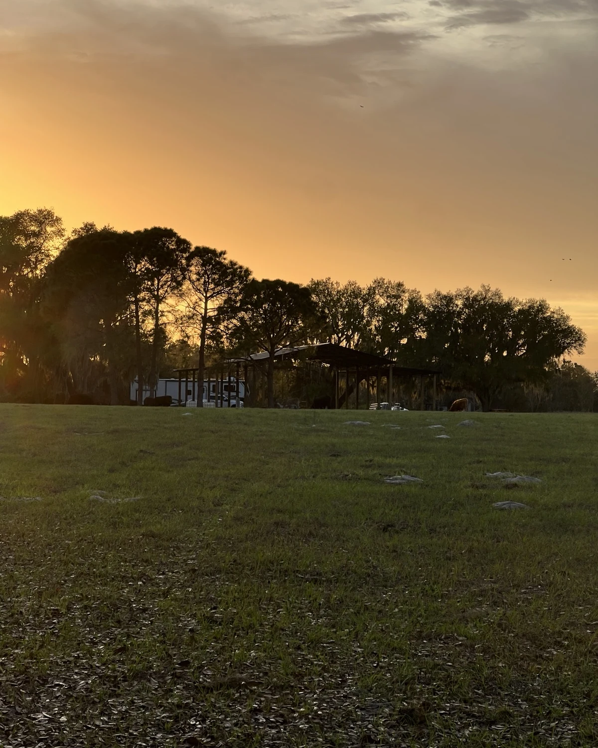 Sunset over the pasture and event barn at Faria's Sunset Ranch in Clermont, Florida