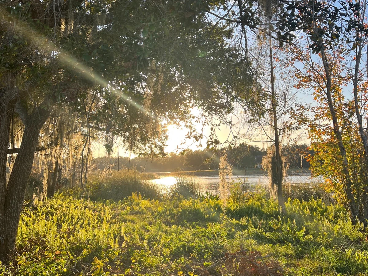 Lake and moss-draped trees at Faria's Sunset Ranch in Clermont, Florida