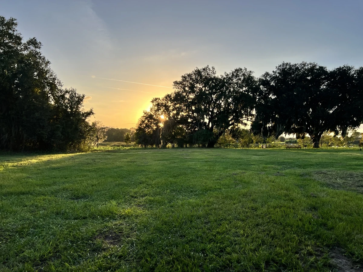 Sunset over open pasture and oak trees at Faria's Sunset Ranch in Clermont, Florida
