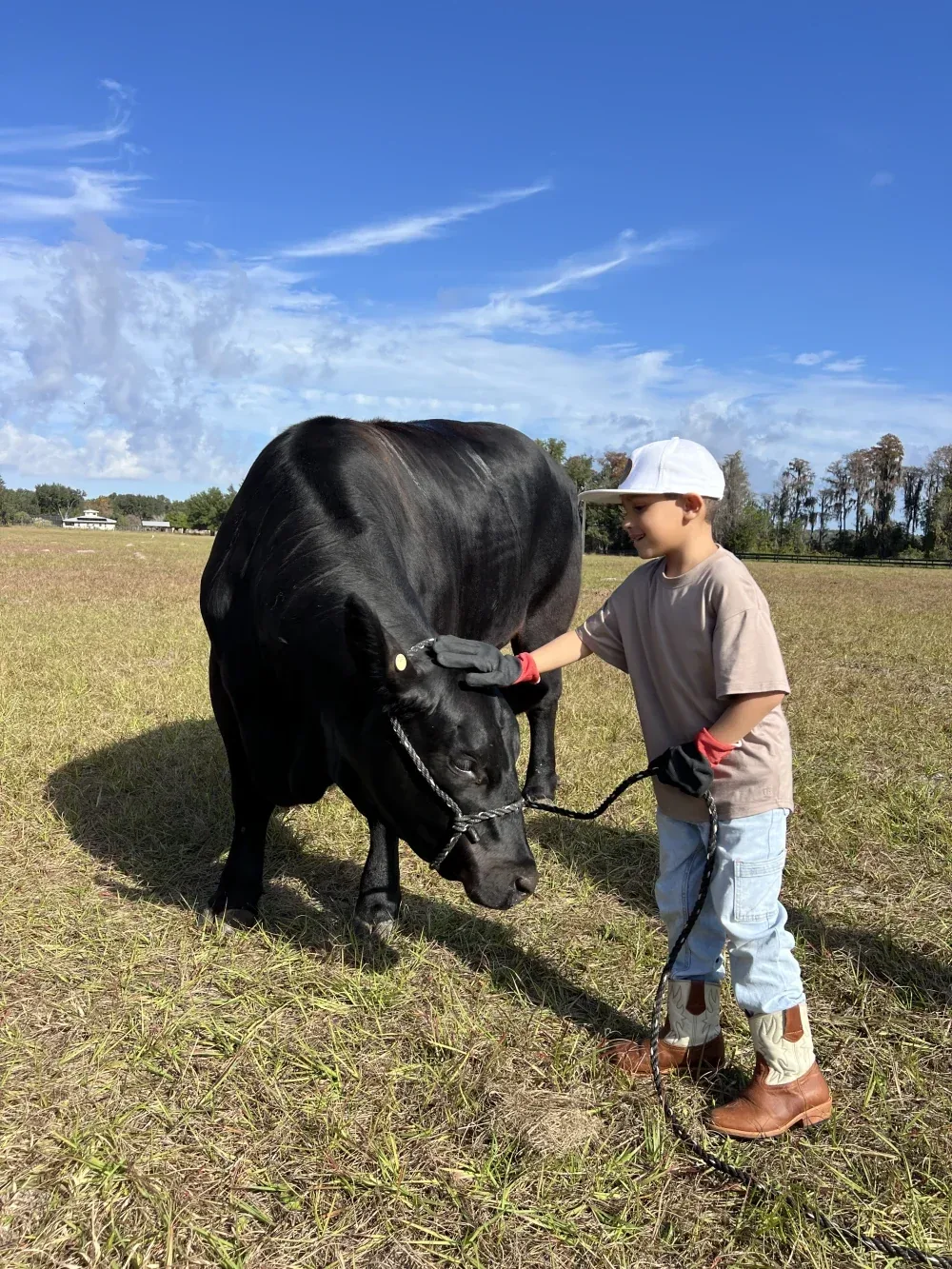 Bringing the Family to a Working Ranch